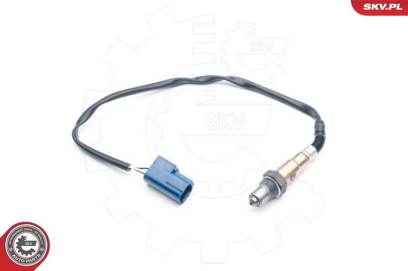 Oxygen Sensor